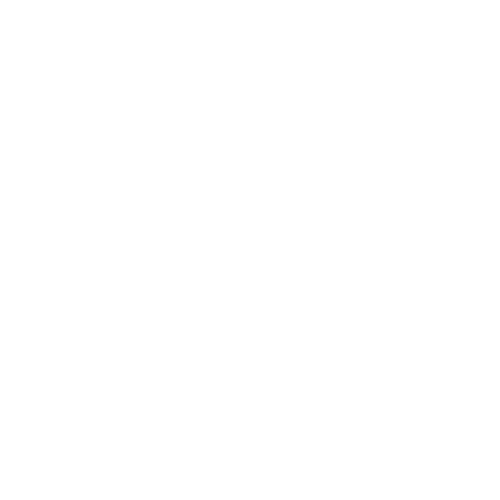 CyberPatriot Logo