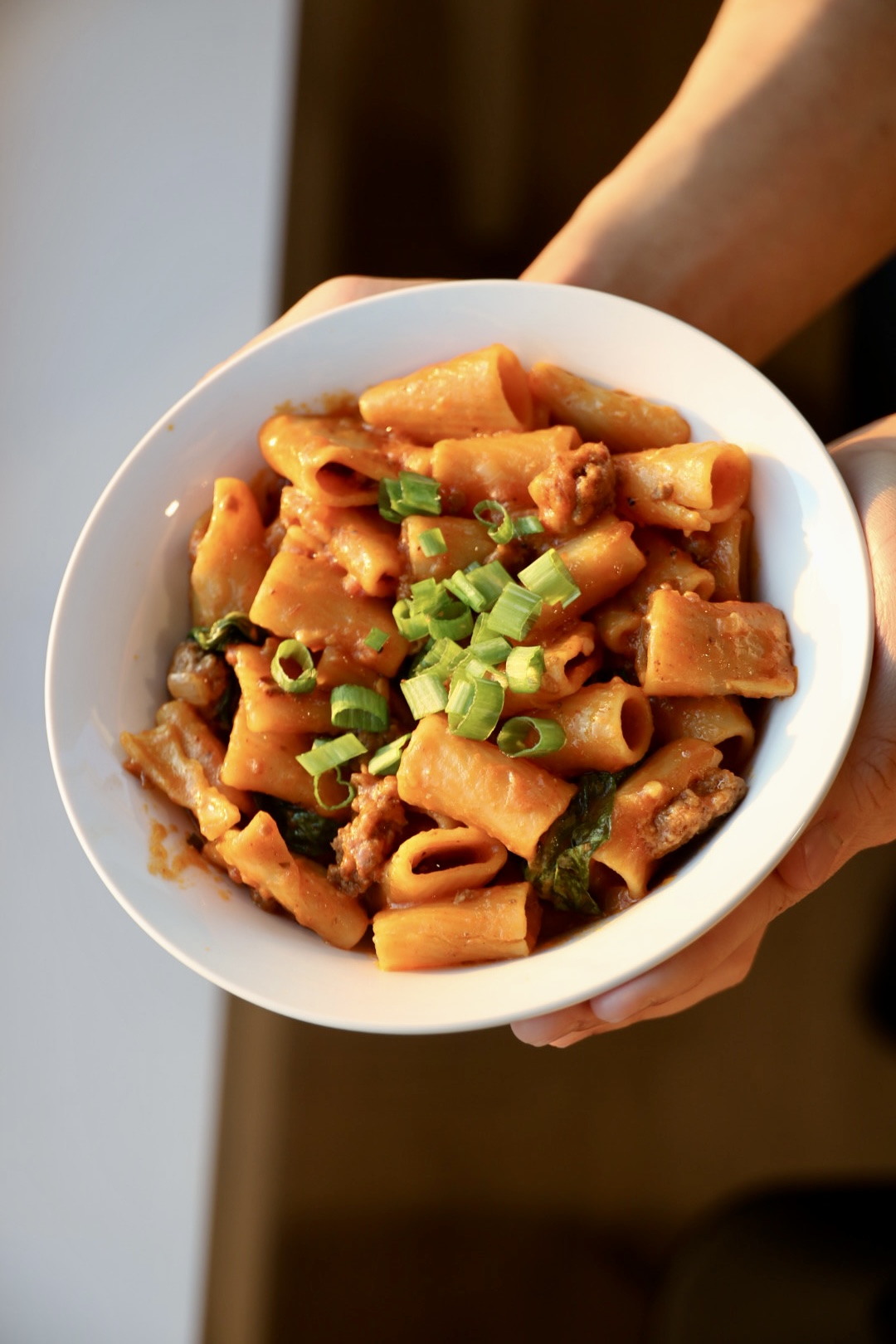 Generic chicken stock and tomato sauce pasta